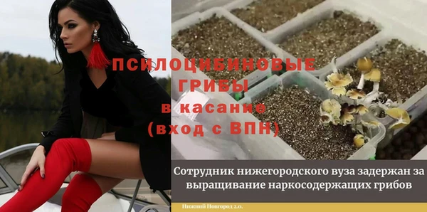 ECSTASY Волосово