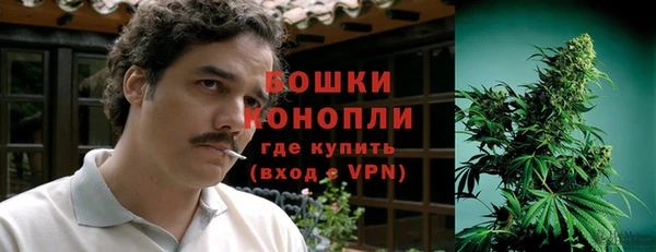 крисы Володарск