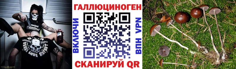 продажа наркотиков  Каспийск  МЕГА сайт  Псилоцибиновые грибы прущие грибы 